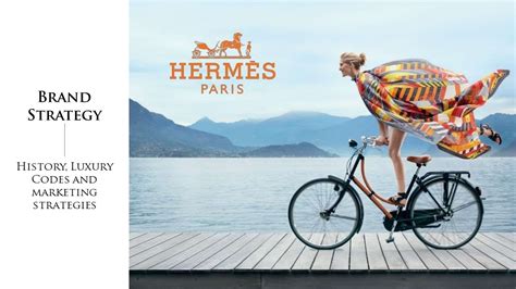 hermes vision statement|Hermes quality strategy.